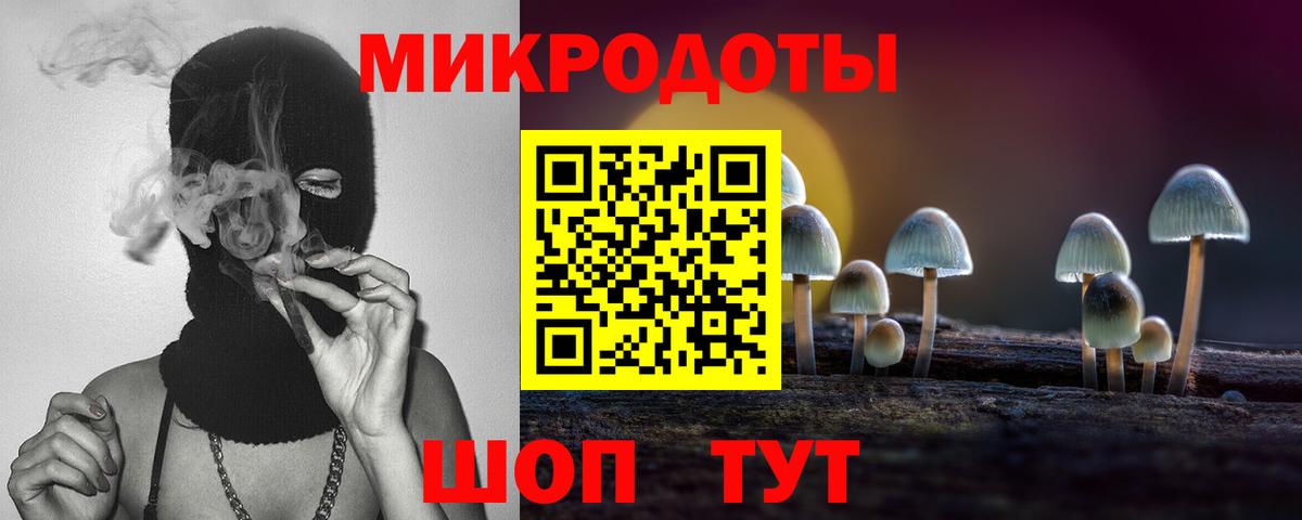 Чайковский  продажа наркотиков  Псилоцибиновые грибы Magic Shrooms  Вход с VPN  Галлюциногенные грибы прущие грибы 