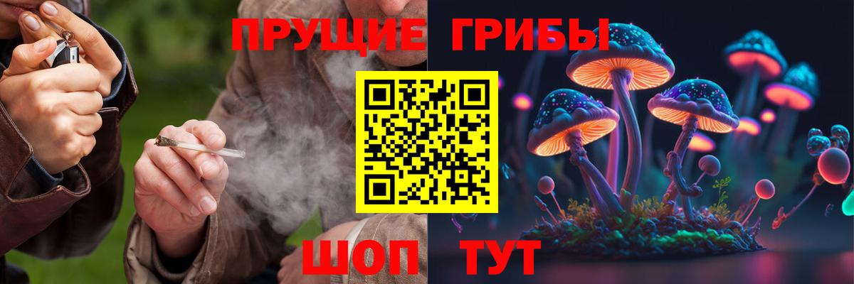 Галлюциногенные грибы Magic Shrooms Чайковский